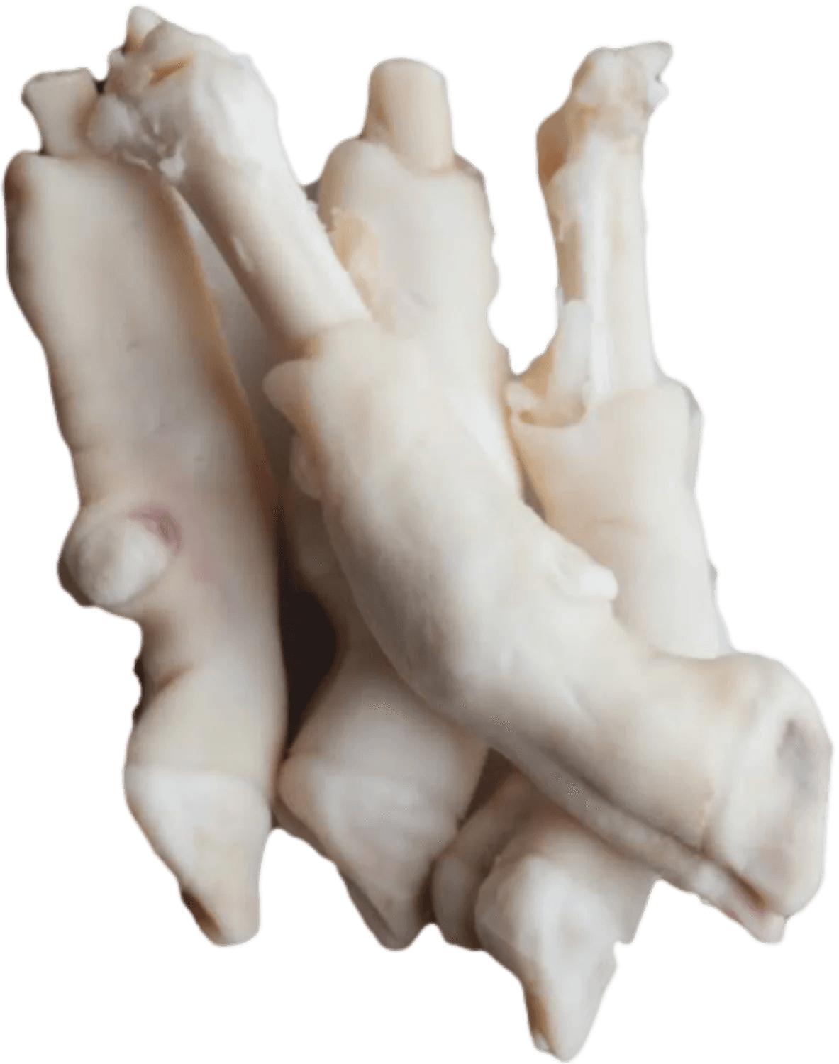 Goat Feet